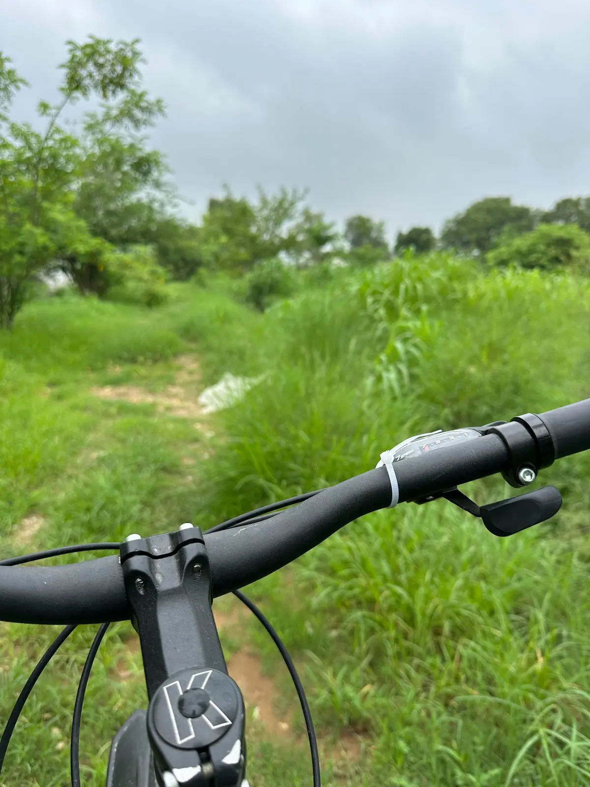 View from a bicycle travelling along a green path through Bholi Farm