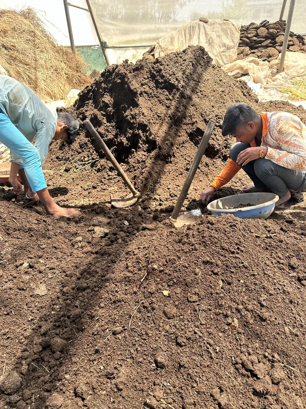 Farm team members checking and preparing a large compost batch