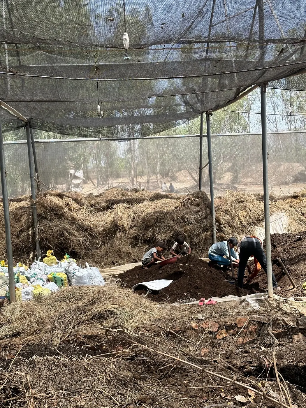 Wider view of compost preparation under a shaded farm structure