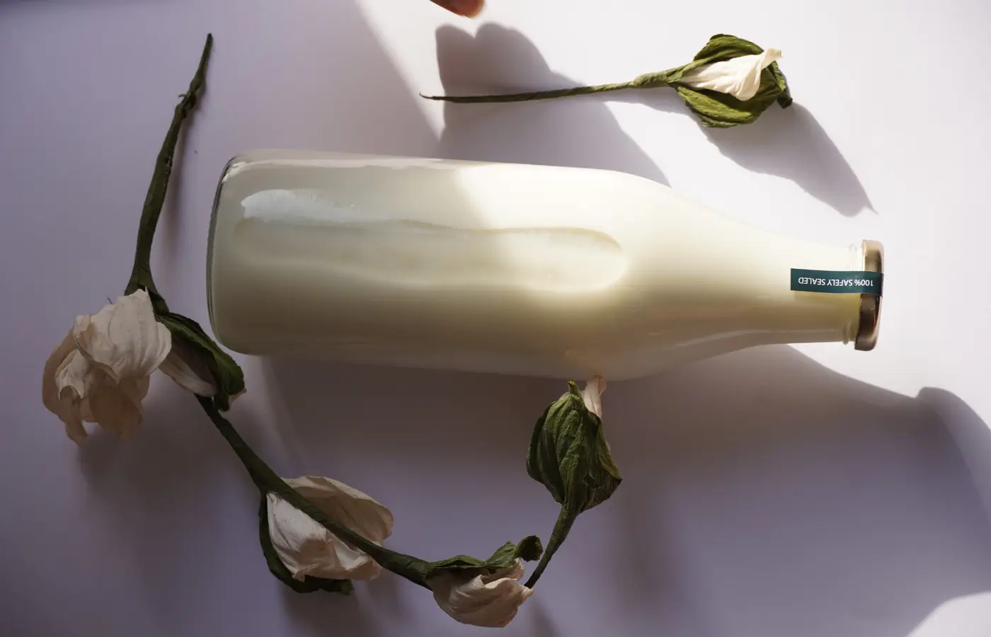 Fresh milk in a sealed glass bottle