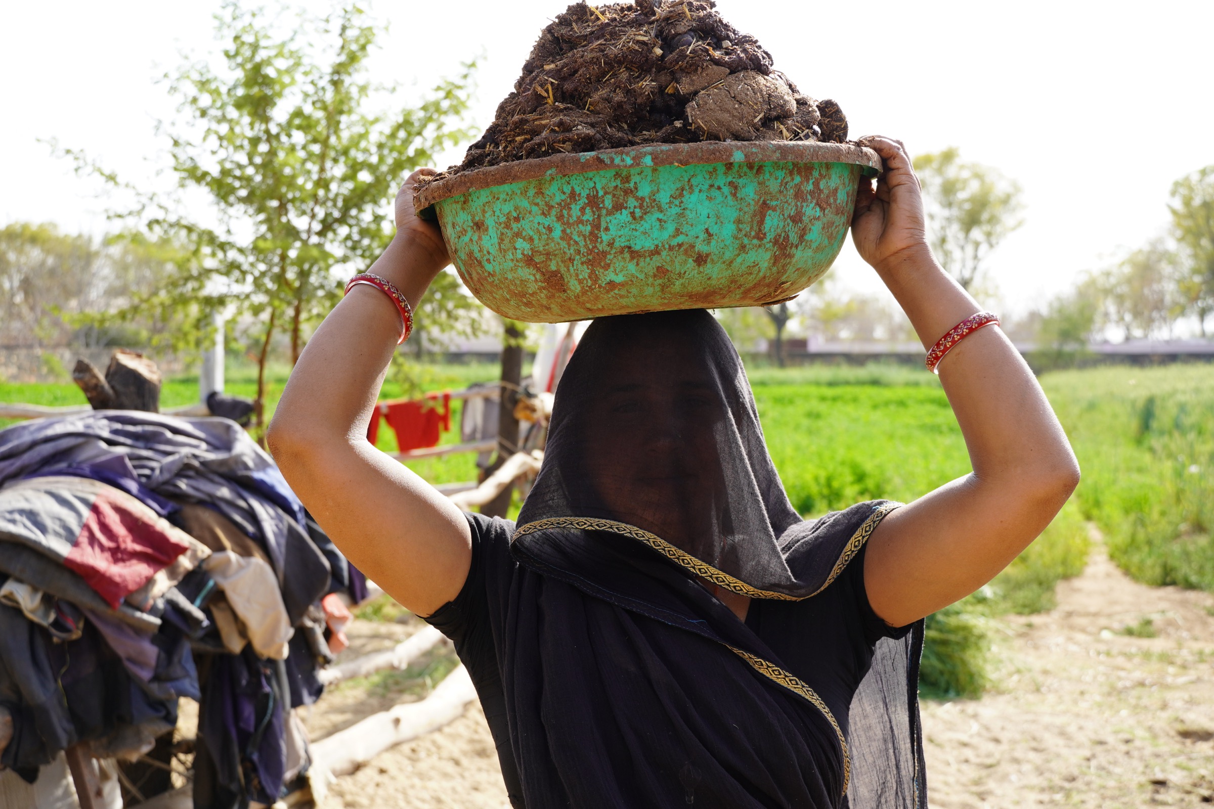 Organic material carried towards a green field
