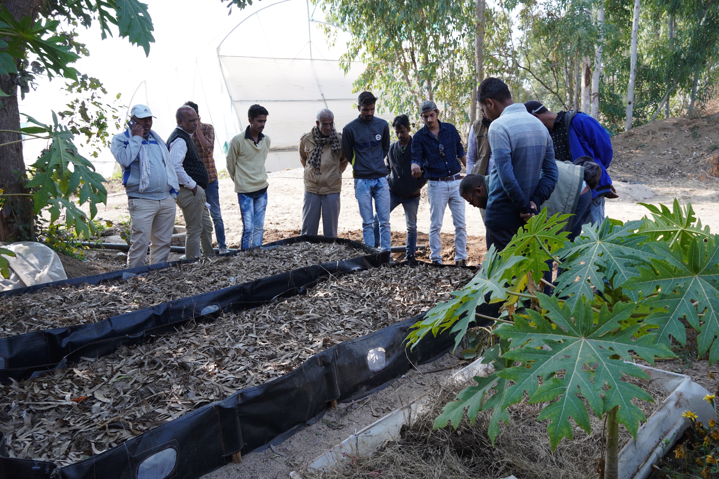 Farm helpers learning through a practical field session at Bholi