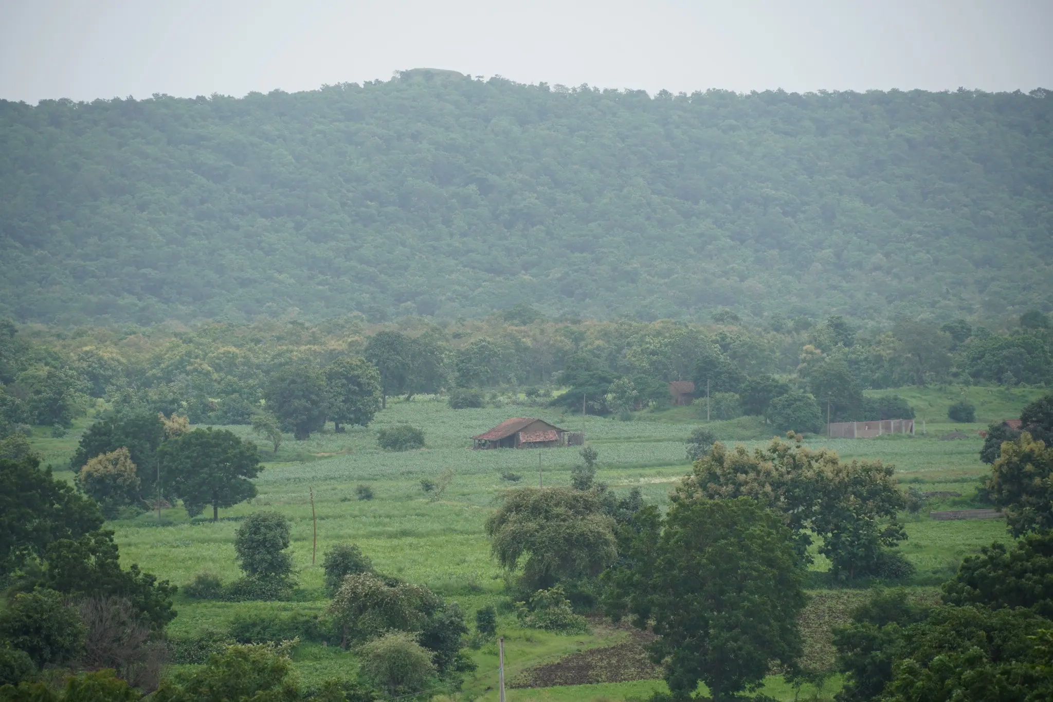 Cultivated fields and forested hills across the Shahbad landscape